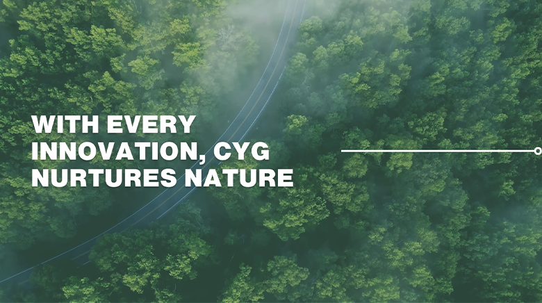 Corporate Governance