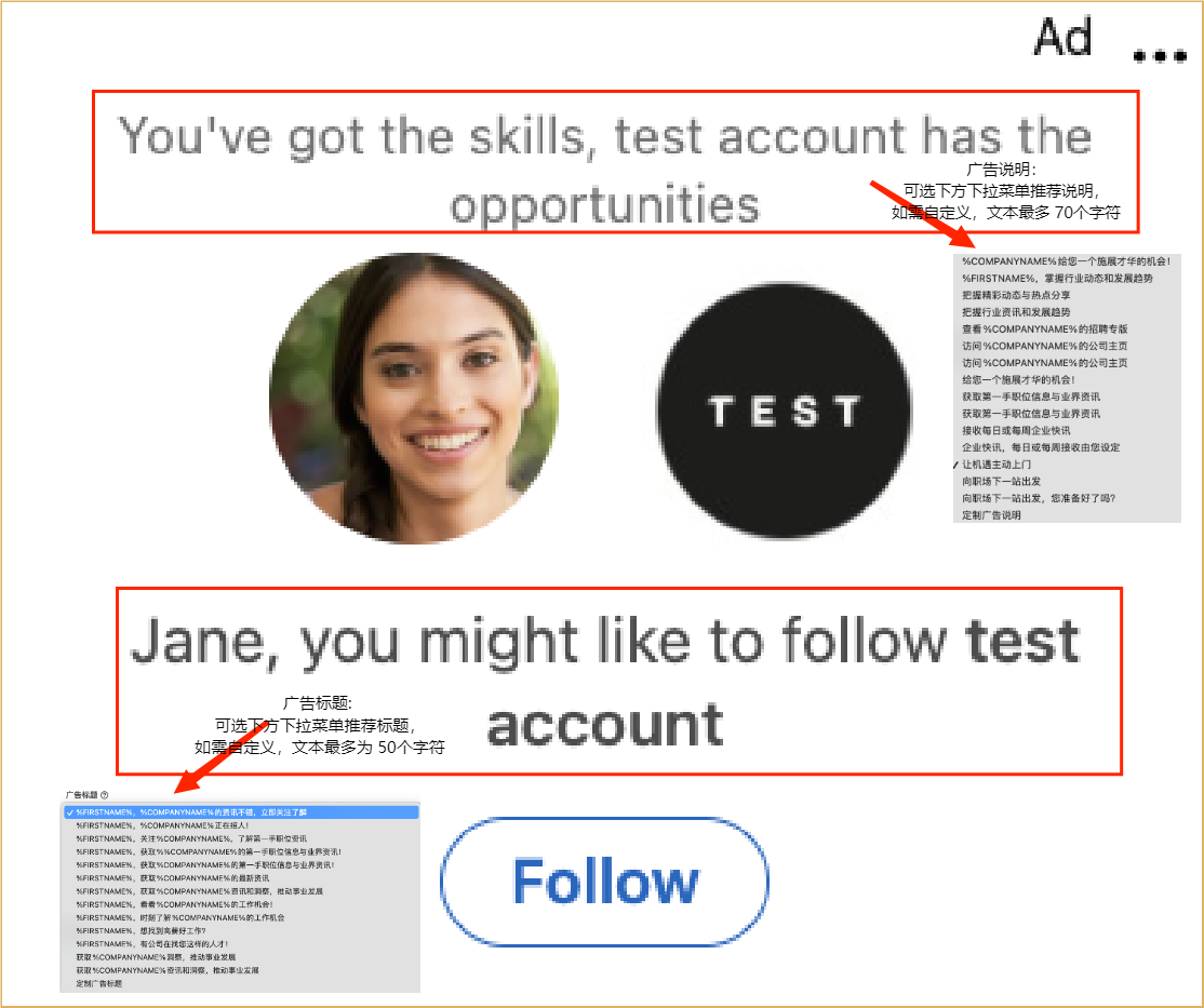 LinkedIn LinkedIn follower advertising