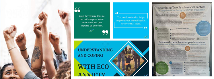 Mental Health Council of Canada (MHCC)